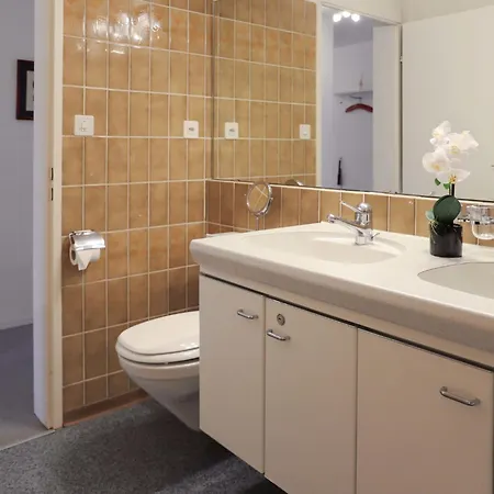 Allod-park-47 By Interhome Apartment Davos